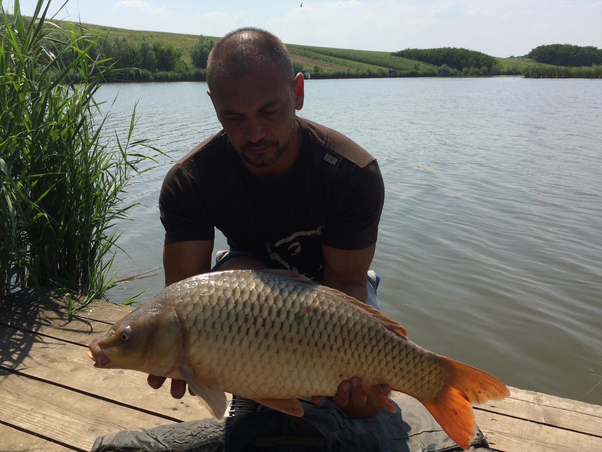 PESCUIT 2014 - img1146.JPG